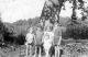 dorothybowman/dlsb0047a-4x6.jpg