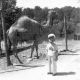 evansvillezoo/ephm0173-4x4.jpg