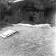 evansvillezoo/lcwr0216-4x4.jpg