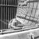 evansvillezoo/lcwr0247-4x4.jpg
