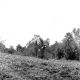 evansvillezoo/lcwr0248-4x4.jpg